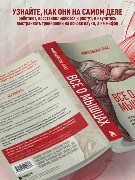 Все о мышцах. Большая история о том, как мышцы формируют нашу жизнь