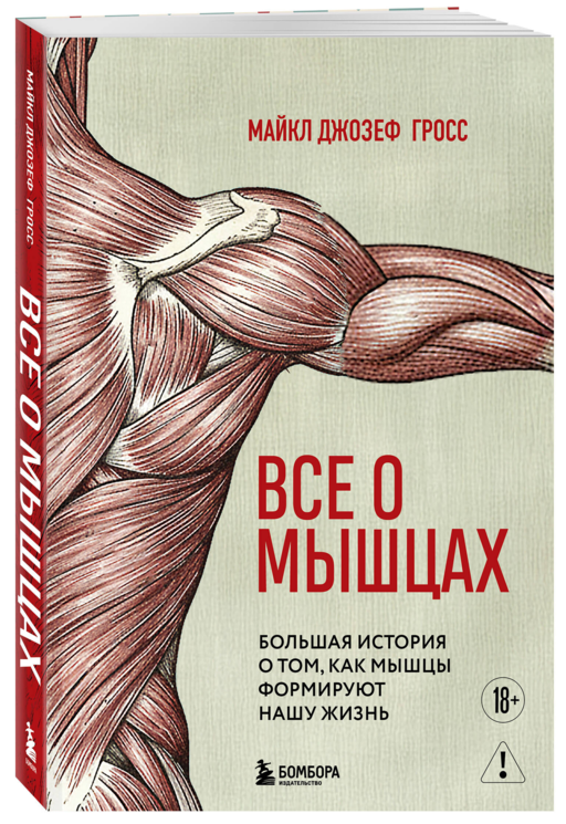 Все о мышцах. Большая история о том, как мышцы формируют нашу жизнь