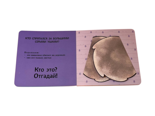Интерактивные загадки. Кто здесь прячется? (коала)