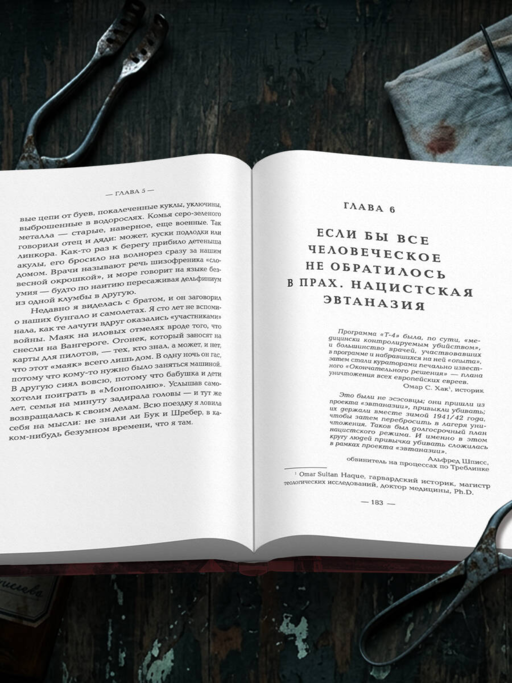 Убийство по назначению врача. Как лучшие намерения психиатрии обернулись нацистской программой уничтожения: от «морального лечения» Пинеля к газовым камерам Зонненштайна