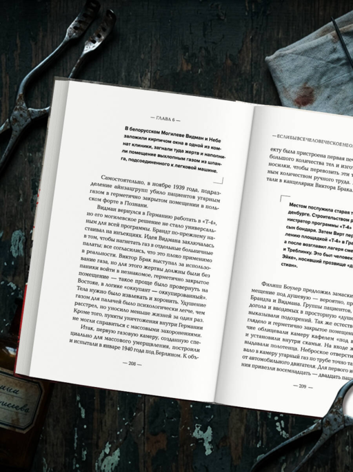 Убийство по назначению врача. Как лучшие намерения психиатрии обернулись нацистской программой уничтожения: от «морального лечения» Пинеля к газовым камерам Зонненштайна