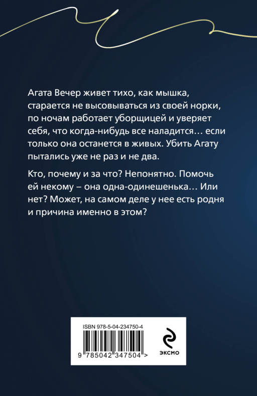 Брошь с черным опалом