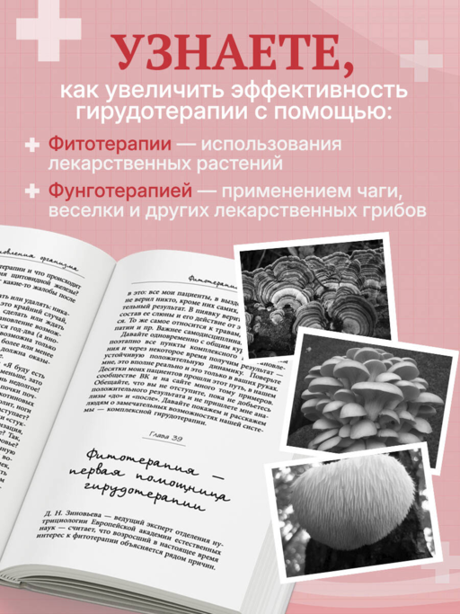 Лечение пиявками. Схемы гирудотерапии при сложных, хронических и запущенных заболеваниях