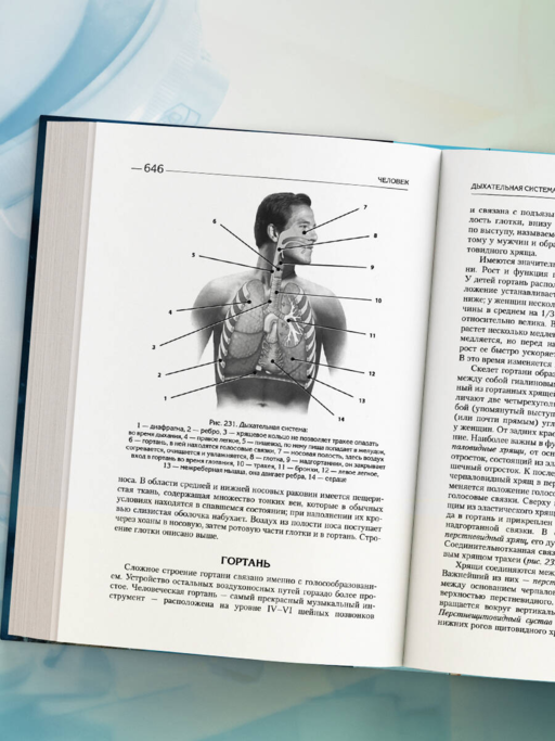 Биология для абитуриентов. Полный курс для ОГЭ, ЕГЭ и олимпиад школьного и городского уровней