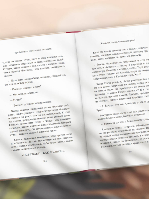 Три бабушки спасли меня от смерти. Самый ожидаемый хилинг-роман 2025 года