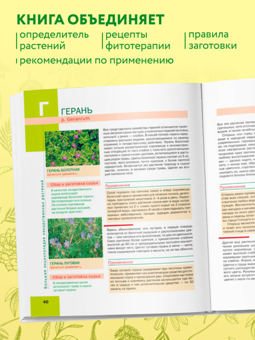 Большая иллюстрированная энциклопедия лекарственных растений