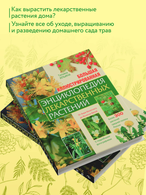 Большая иллюстрированная энциклопедия лекарственных растений
