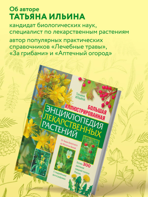 Большая иллюстрированная энциклопедия лекарственных растений