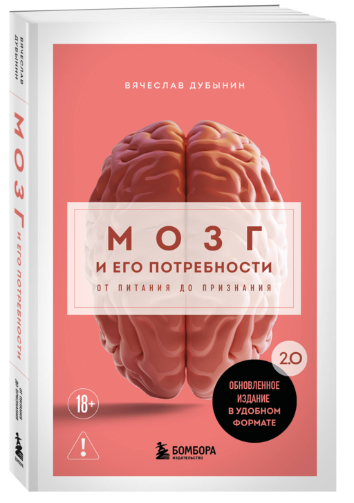 Мозг и его потребности. 2.0 от питания до признания