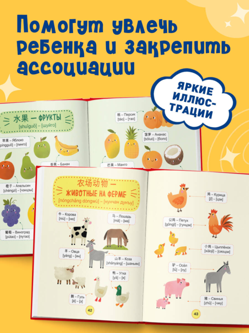 Мой первый год китайского. Словарик в картинках
