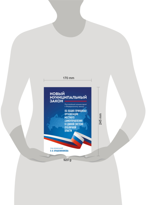 Новый муниципальный закон. Постатейный комментарий к Федеральному закону