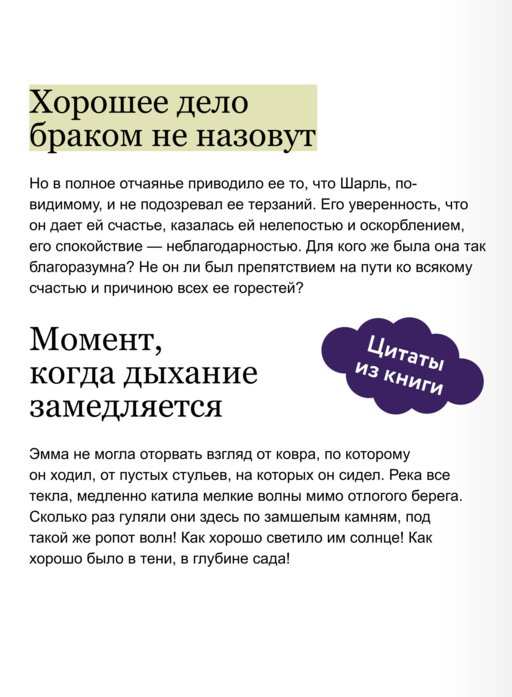 Госпожа Бовари. Вечные истории