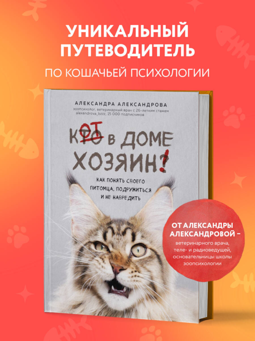 Кот в доме хозяин! Как понять своего питомца, подружиться и не навредить (новое оформление)