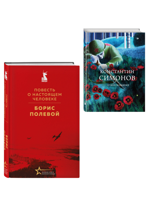 Герои войны (набор из 2-х книг: