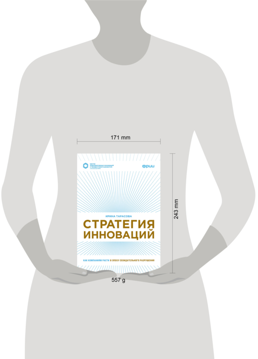 Стратегия инноваций. Как компаниям расти в эпоху созидательного разрушения
