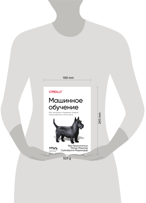 Машинное обучение. Как построить надежные модели искусственного интеллекта