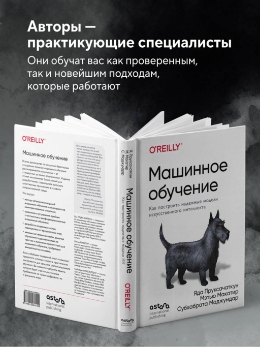 Машинное обучение. Как построить надежные модели искусственного интеллекта