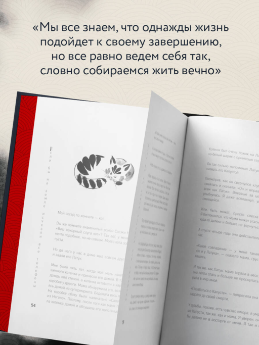 Если все кошки в мире исчезнут