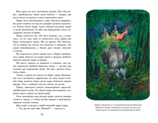 Кот-ворюга. Рассказы и сказки