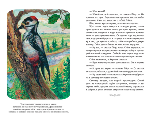 Кот-ворюга. Рассказы и сказки