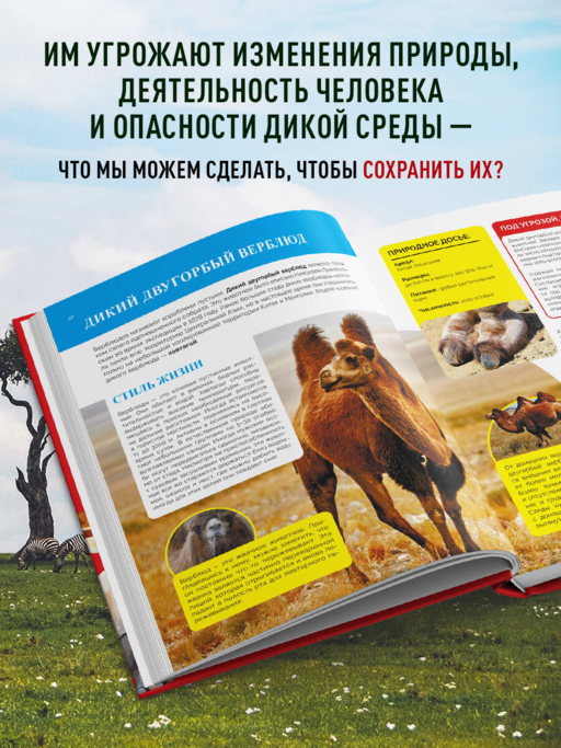 Красная книга мира. Большой формат. Более 500 уникальных иллюстраций и фактов (новое издание)