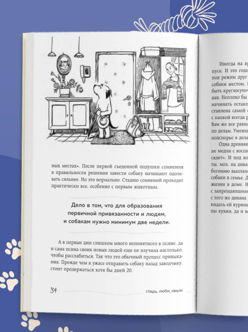 Гладь, люби, хвали. Нескучное руководство по воспитанию собаки (новое оформление 2026)