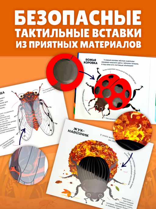 Насекомые. Тактильная книга-панорамка