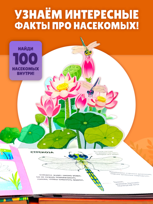 Насекомые. Тактильная книга-панорамка