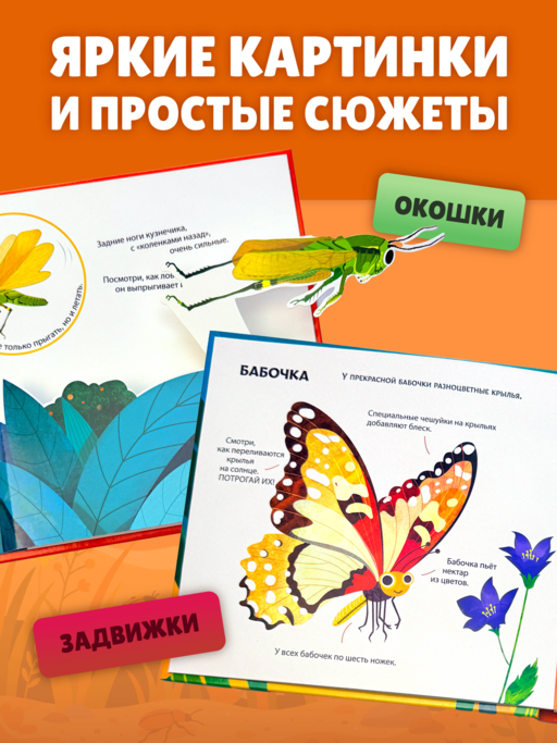Насекомые. Тактильная книга-панорамка