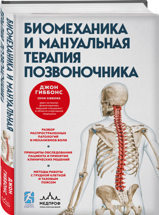 Биомеханика и мануальная терапия позвоночника