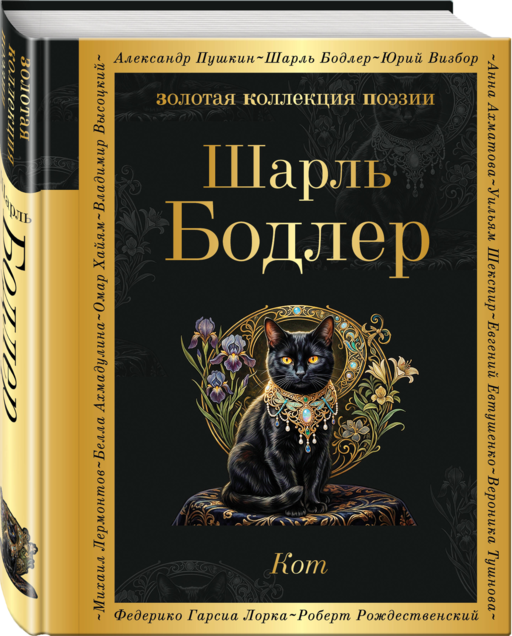 Кот