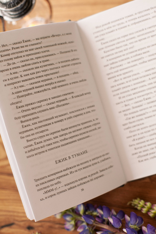 Ежик в тумане. Вечные истории. Young Adult