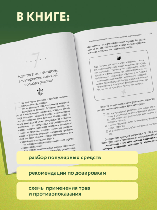 Безопасная аптечка. Что в фитотерапии работает, а что может навредить