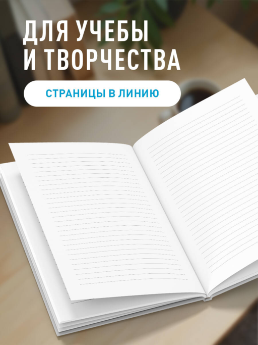 Блокнот. Никогда не спорьте с идиотами! (А5, твердая обложка, 64 л.)