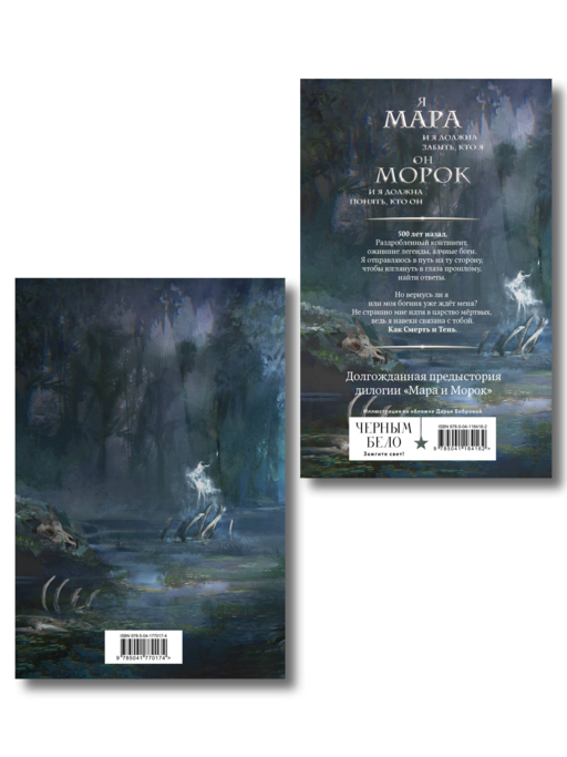 Мара и Морок. 500 лет назад (книга+тетрадь)