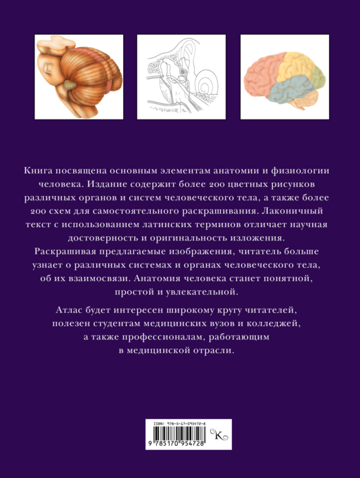 Атлас анатомии человека для раскрашивания