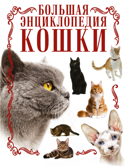 Кошки. Большая энциклопедия