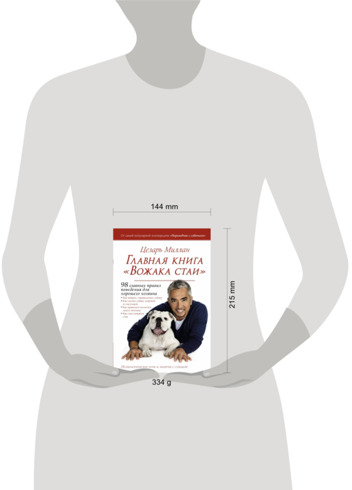 Главная книга