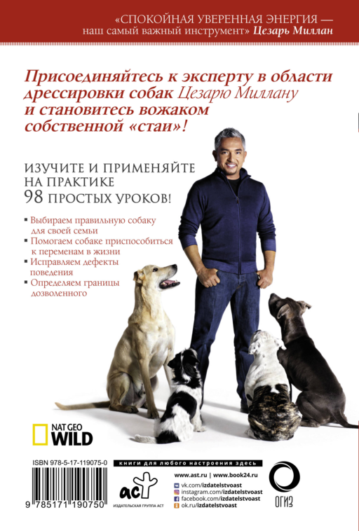 Главная книга