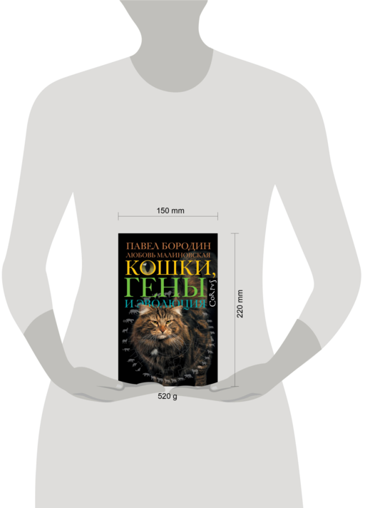 Кошки, гены и эволюция