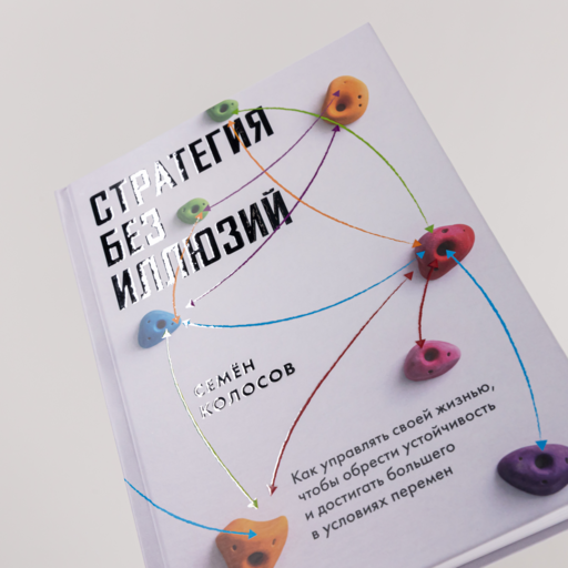 Стратегия без иллюзий. Как управлять своей жизнью, чтобы обрести устойчивость и достигать большего в условиях перемен