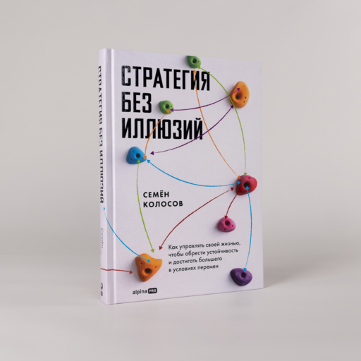 Стратегия без иллюзий. Как управлять своей жизнью, чтобы обрести устойчивость и достигать большего в условиях перемен