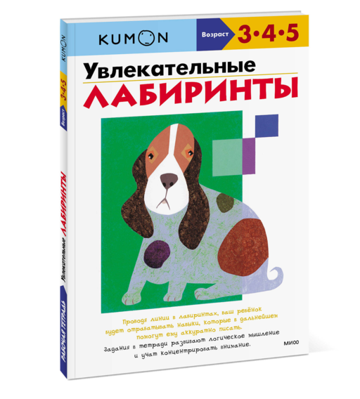 Увлекательные лабиринты
