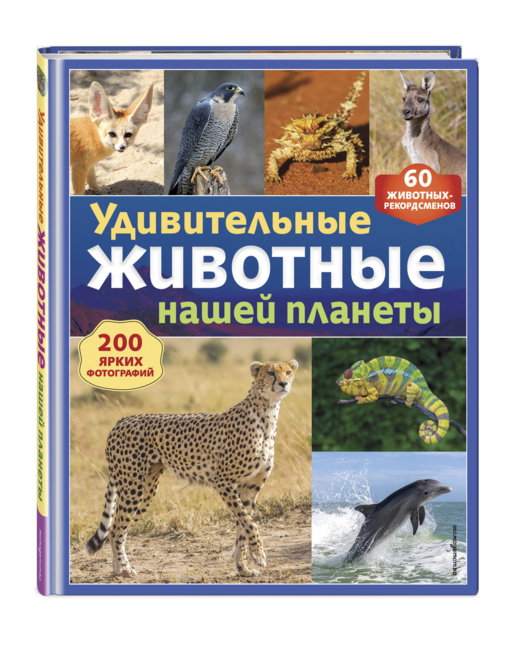 Удивительные животные нашей планеты