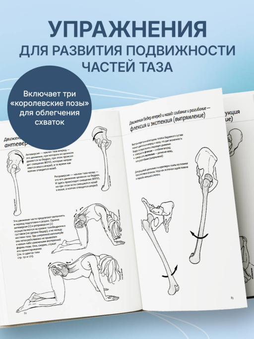 Тазовое дно. Комплекс упражнений для женщин