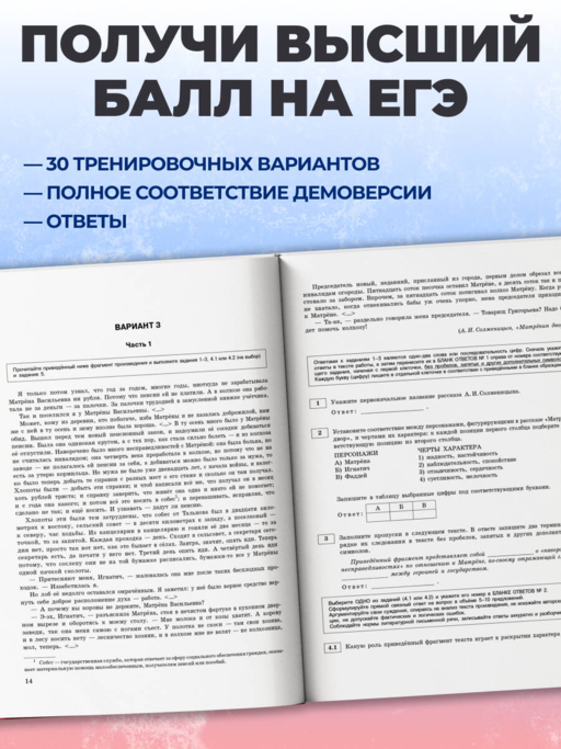 ЕГЭ-2027. Литература. Тренировочные варианты. 30 вариантов