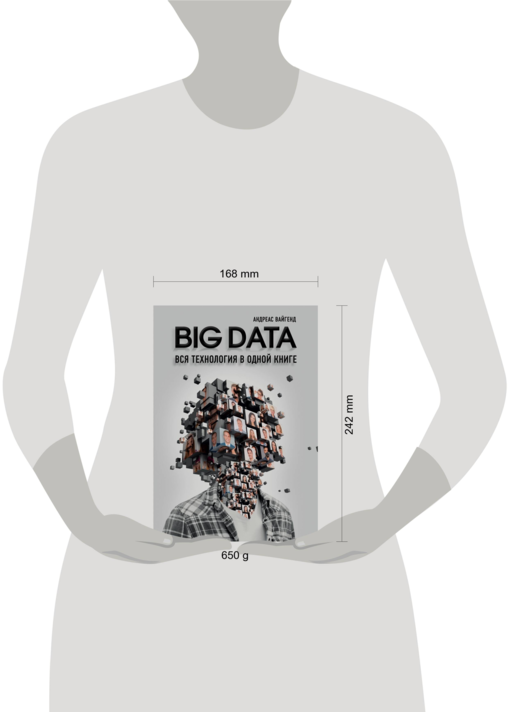 BIG DATA. Вся технология в одной книге
