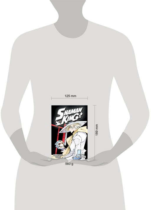 Shaman King Omnibus 6