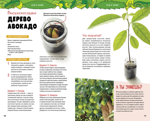 Книга опытов для детей. Волшебство в стеклянной банке