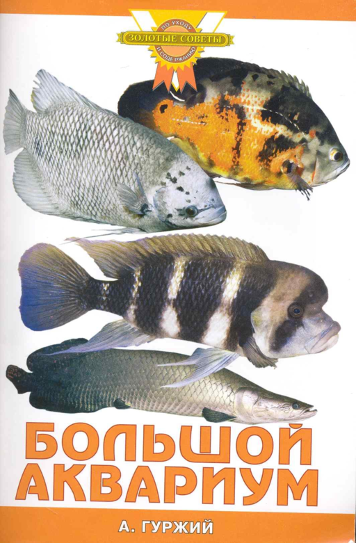 Большой аквариум